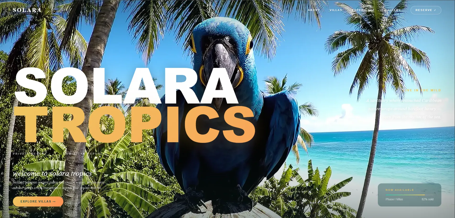 Solara Tropics — strona stworzona przez Jakuba Sidora